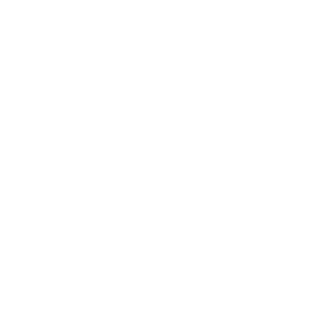 logo playoff